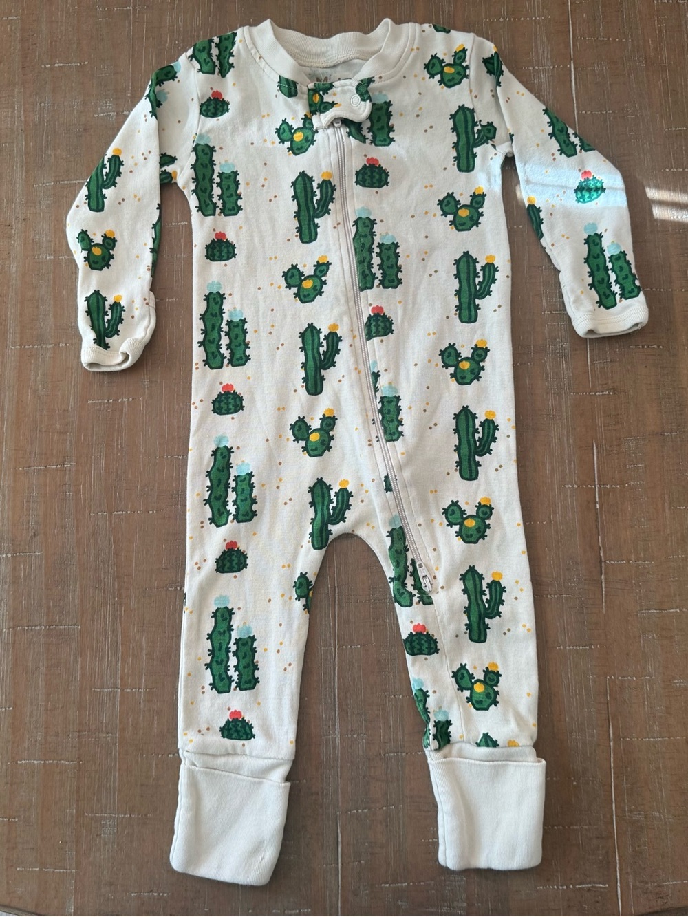 Monica + Andy Cactus Zippered Pajamas Green and Cream 3-6 Months